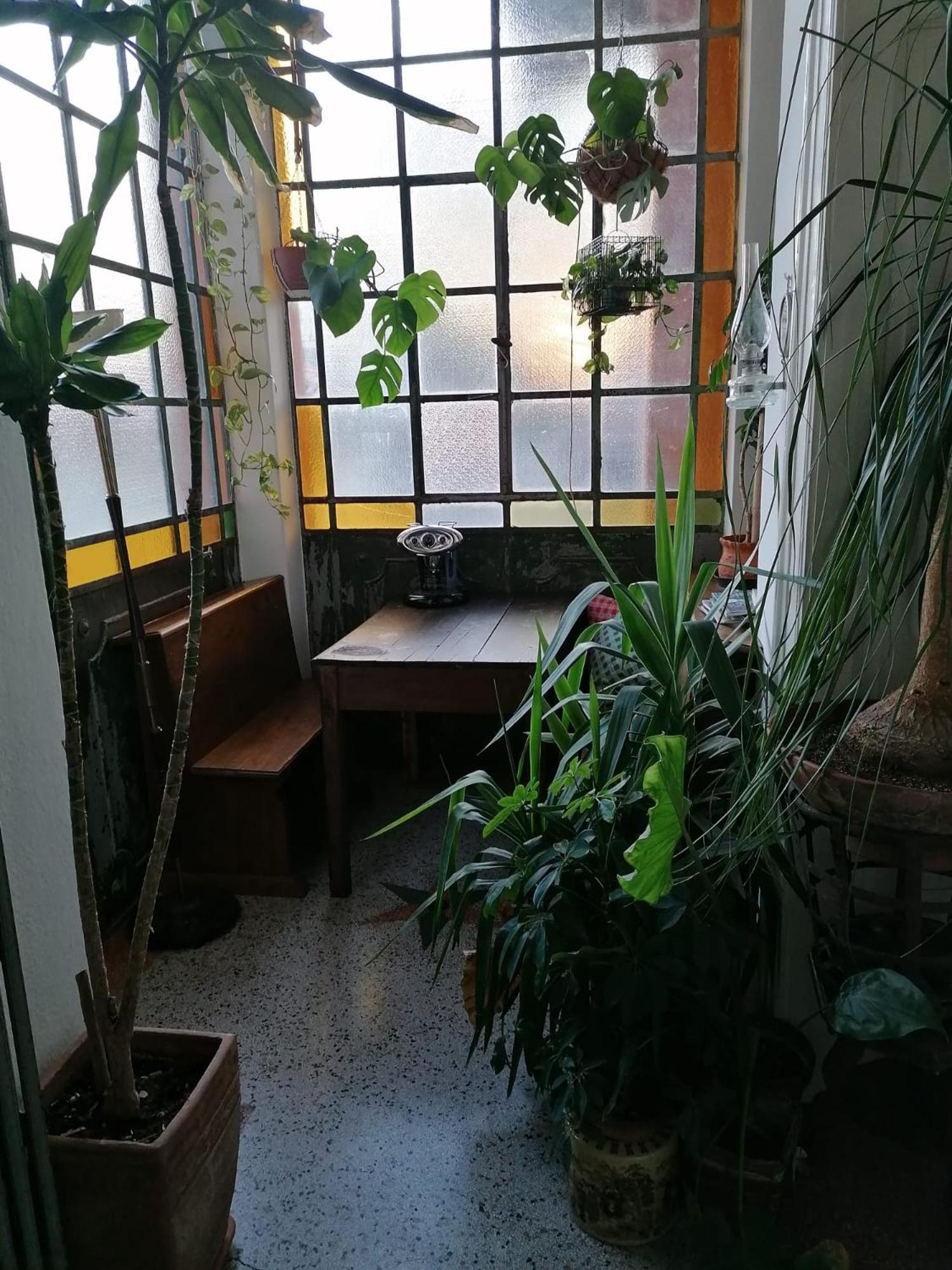 The Liberty Terrace Bed & Breakfast Удине Екстериор снимка